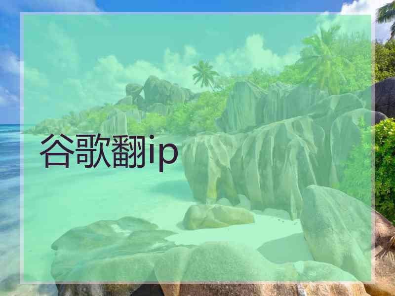 谷歌翻ip