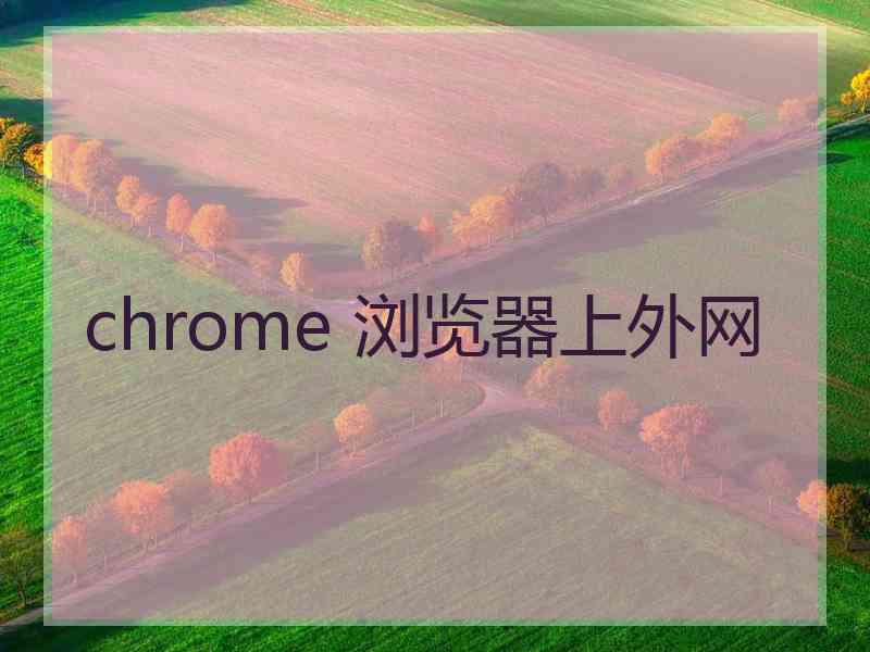 chrome 浏览器上外网