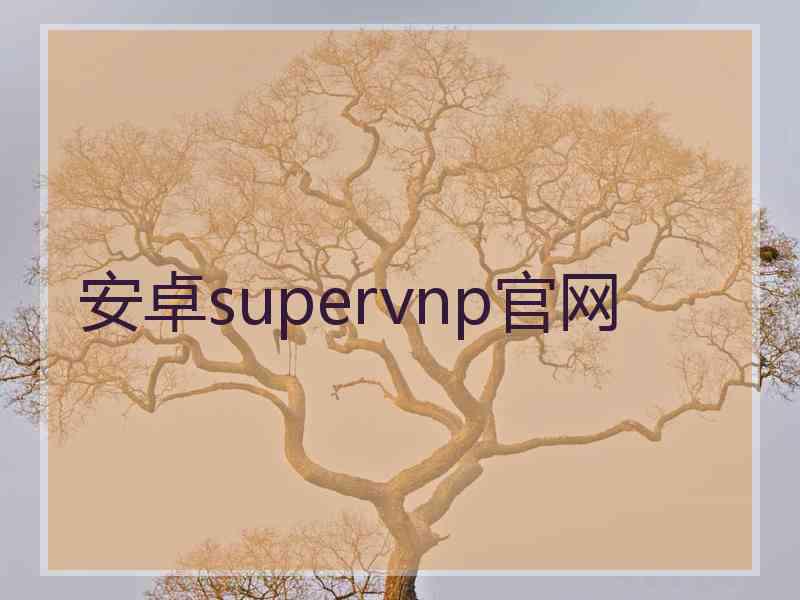 安卓supervnp官网