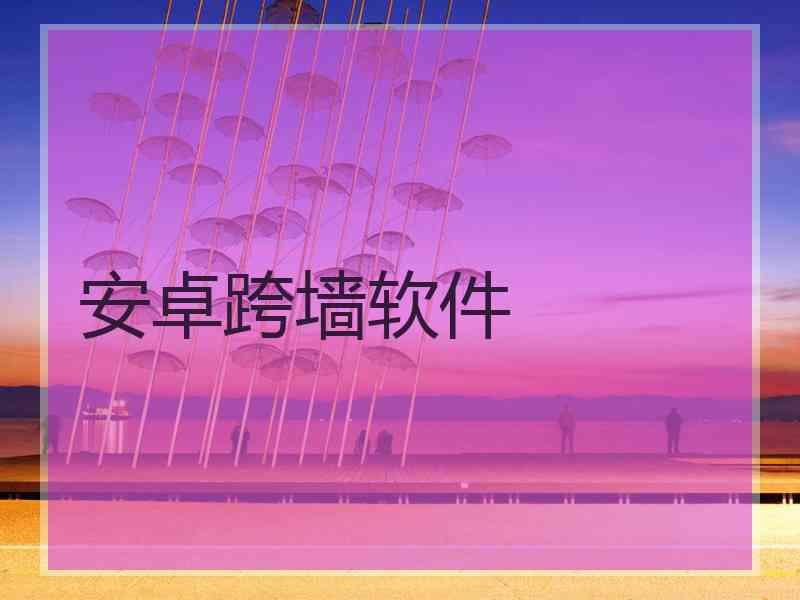安卓跨墙软件