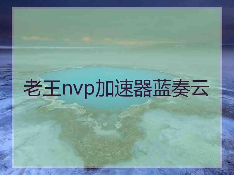 老王nvp加速器蓝奏云