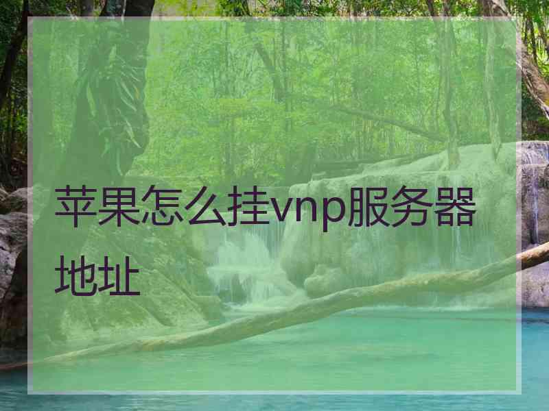 苹果怎么挂vnp服务器地址