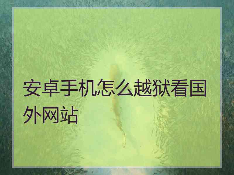 安卓手机怎么越狱看国外网站