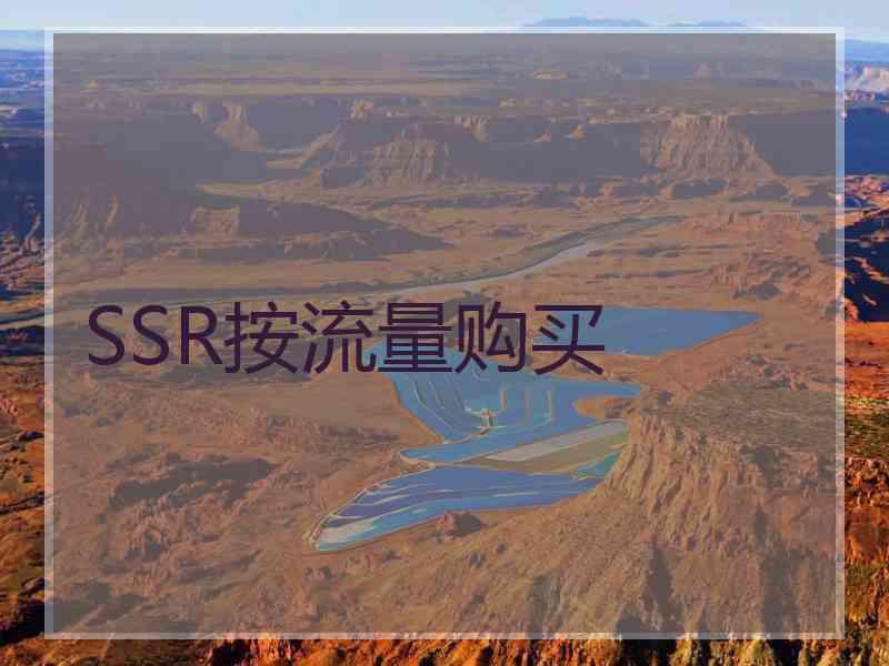 SSR按流量购买
