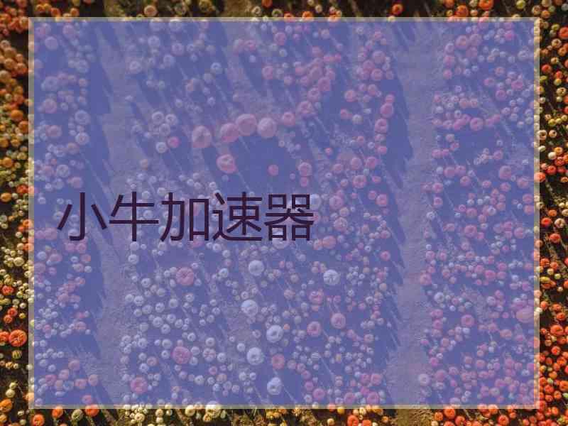 小牛加速器