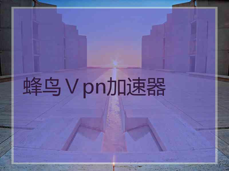 蜂鸟Ⅴpn加速器