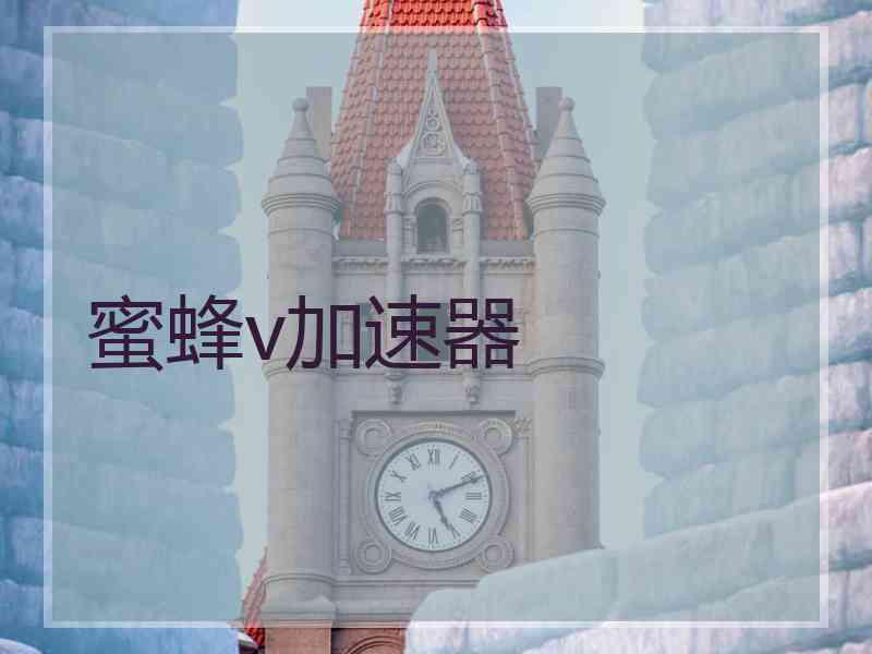 蜜蜂v加速器