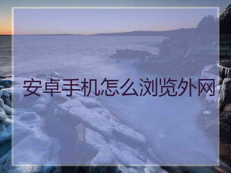 安卓手机怎么浏览外网