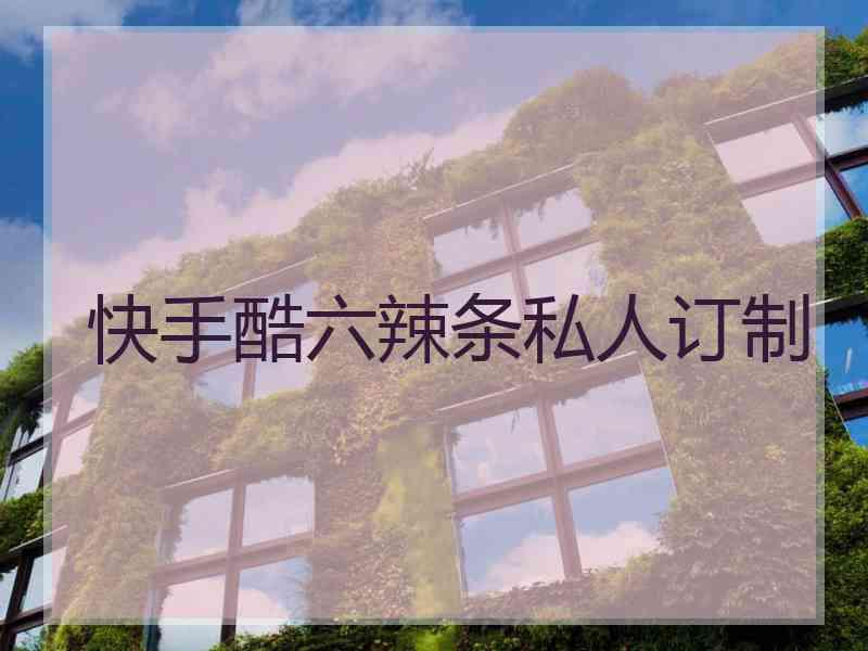 快手酷六辣条私人订制