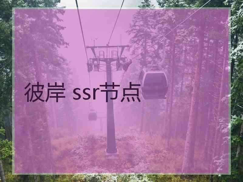 彼岸 ssr节点