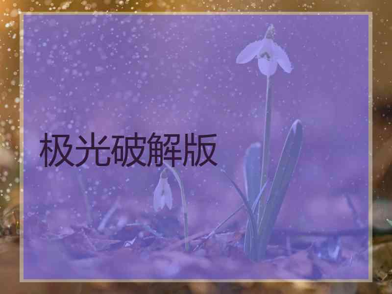 极光破解版