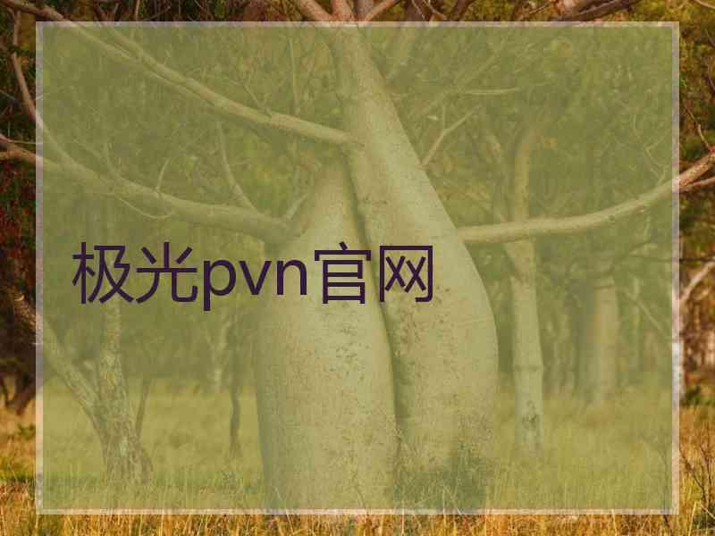 极光pvn官网