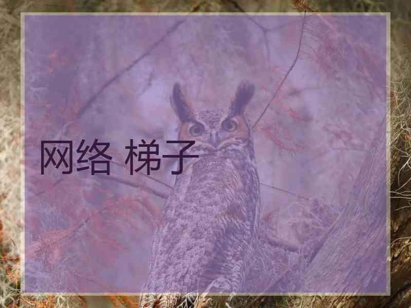 网络 梯子