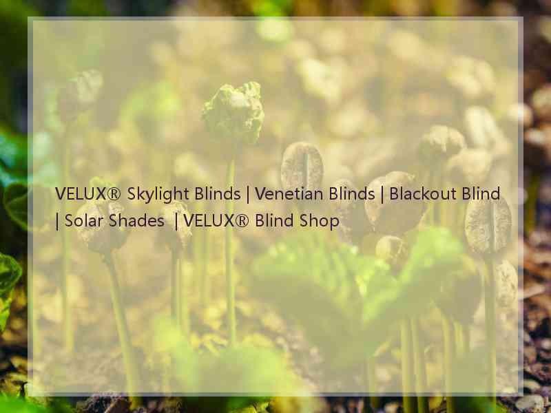 VELUX® Skylight Blinds | Venetian Blinds | Blackout Blind | Solar Shades  | VELUX® Blind Shop