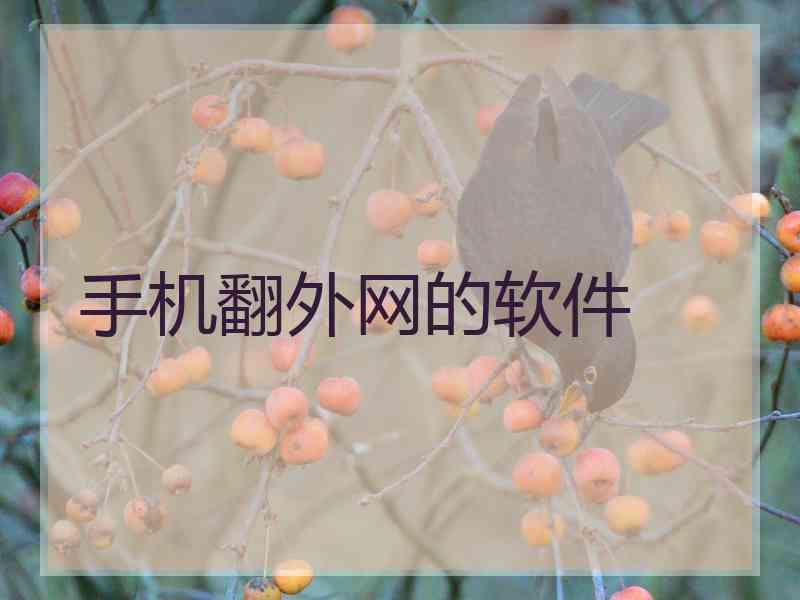 手机翻外网的软件