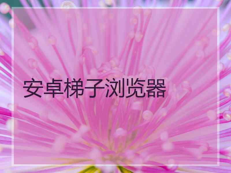 安卓梯子浏览器