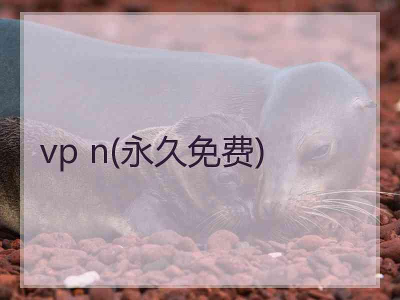 vp n(永久免费)