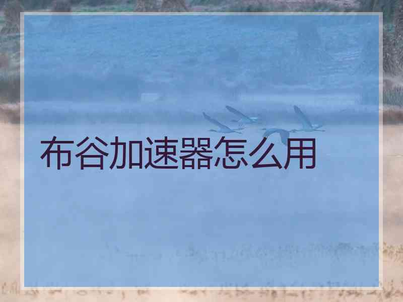 布谷加速器怎么用