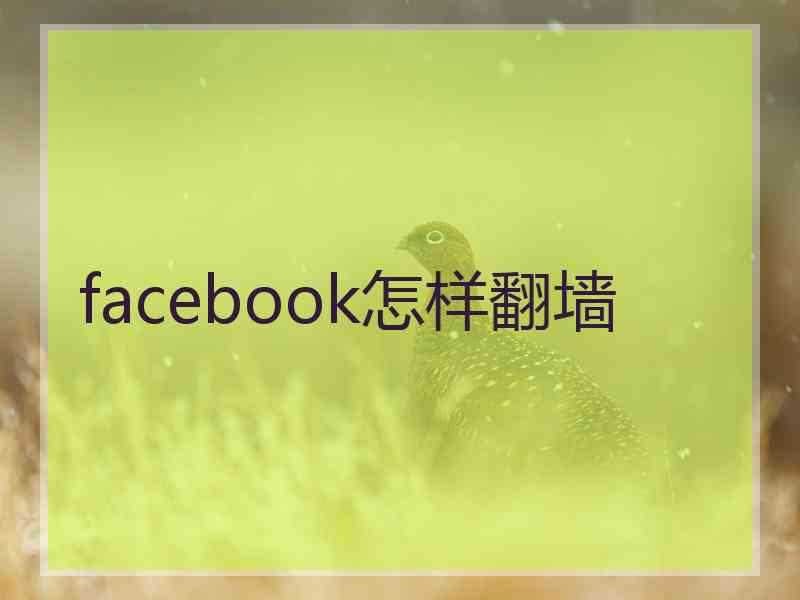 facebook怎样翻墙
