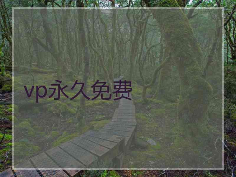 vp永久免费