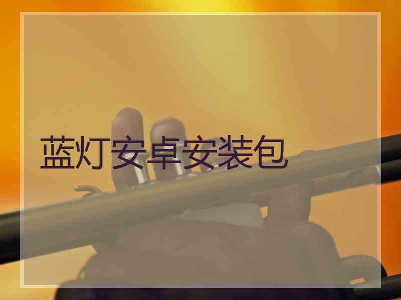 蓝灯安卓安装包