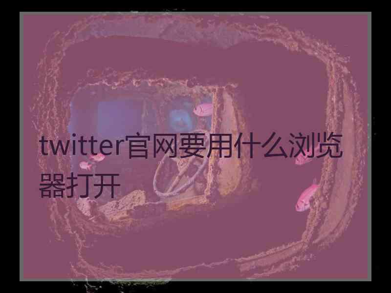 twitter官网要用什么浏览器打开