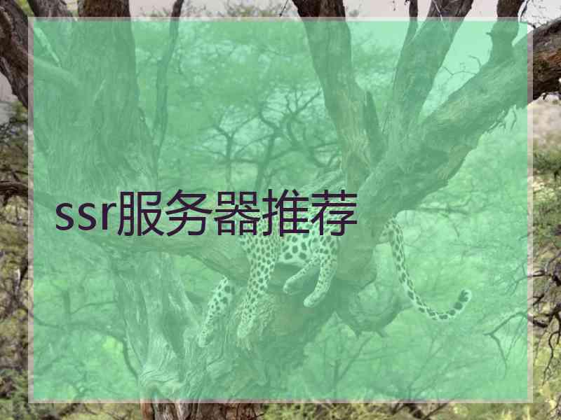 ssr服务器推荐