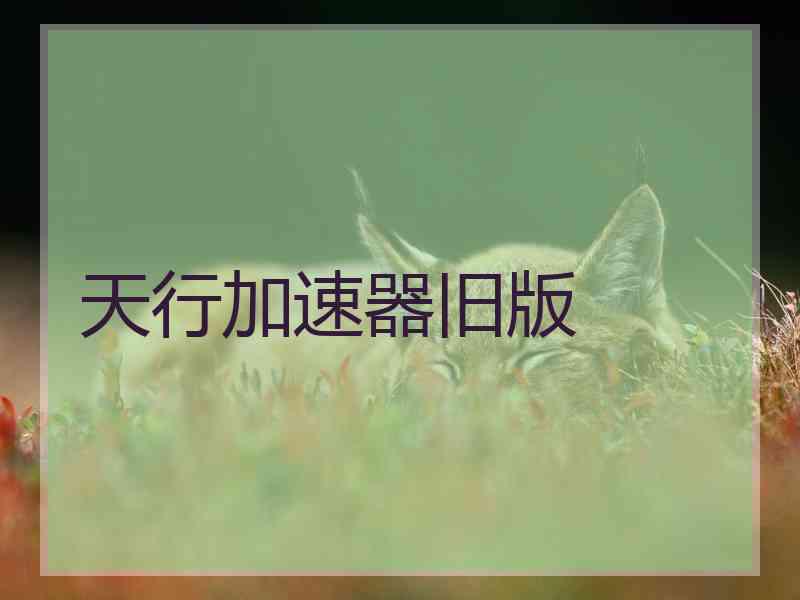 天行加速器旧版