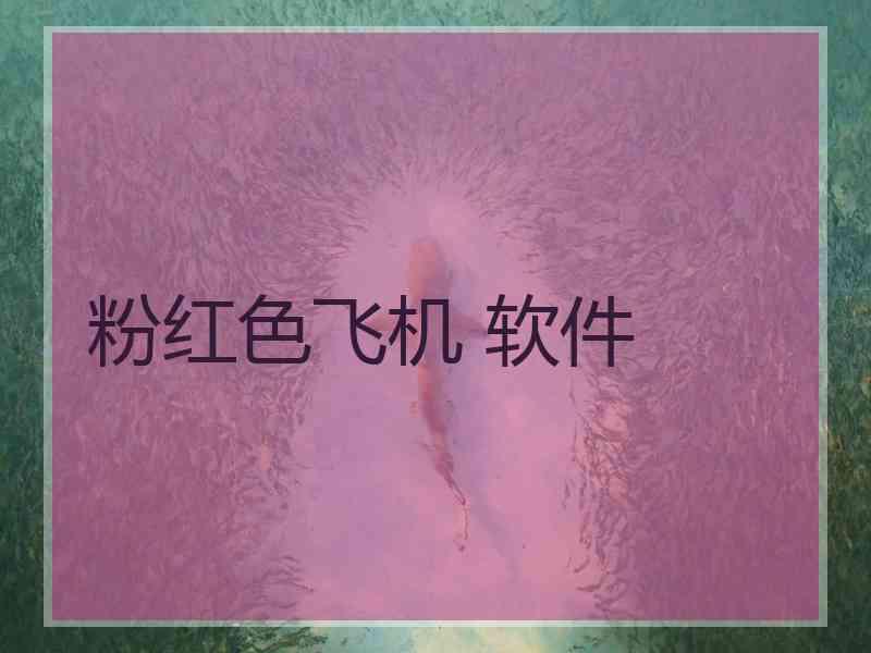 粉红色飞机 软件