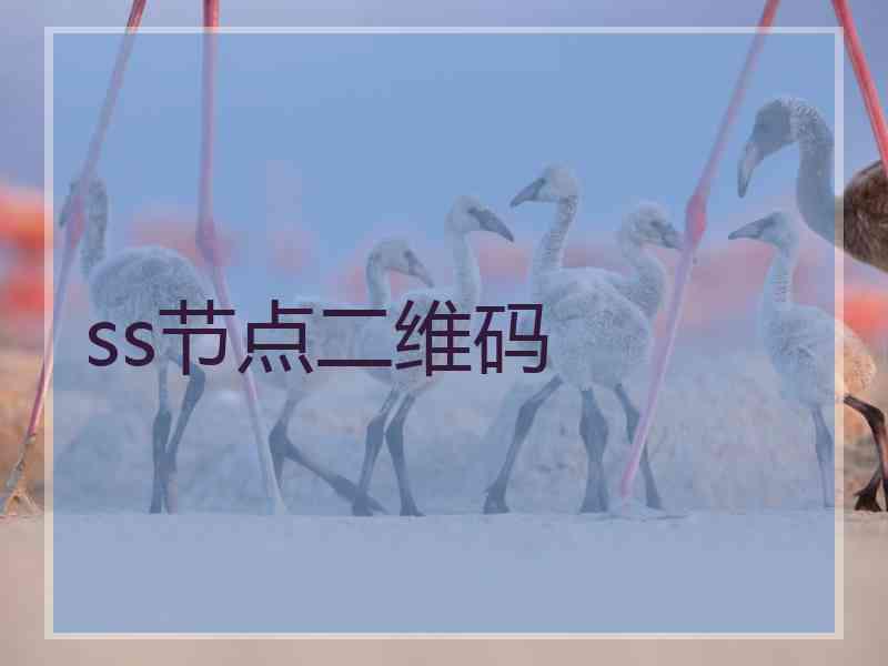 ss节点二维码