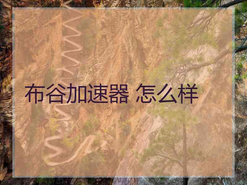 布谷加速器 怎么样