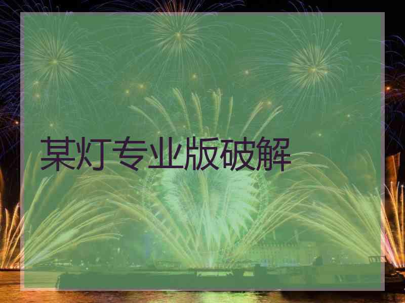 某灯专业版破解