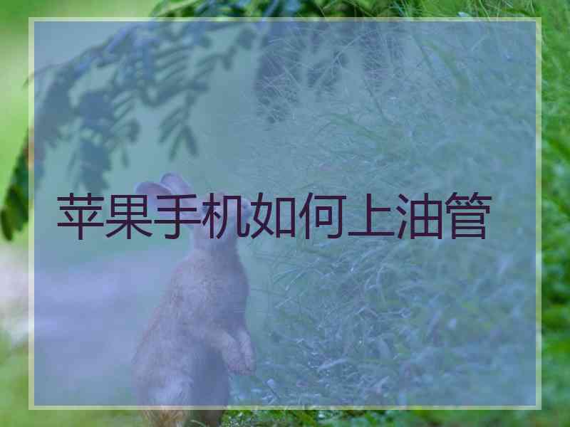 苹果手机如何上油管