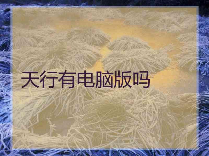 天行有电脑版吗