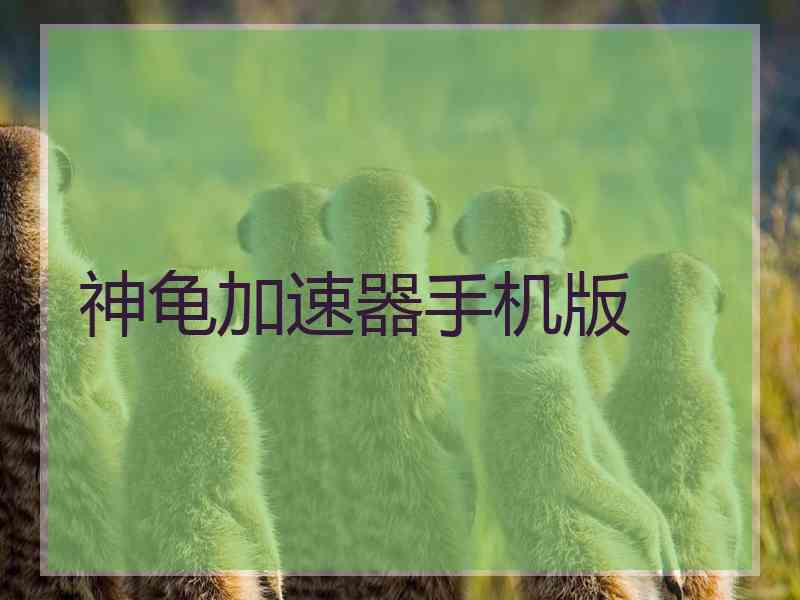神龟加速器手机版