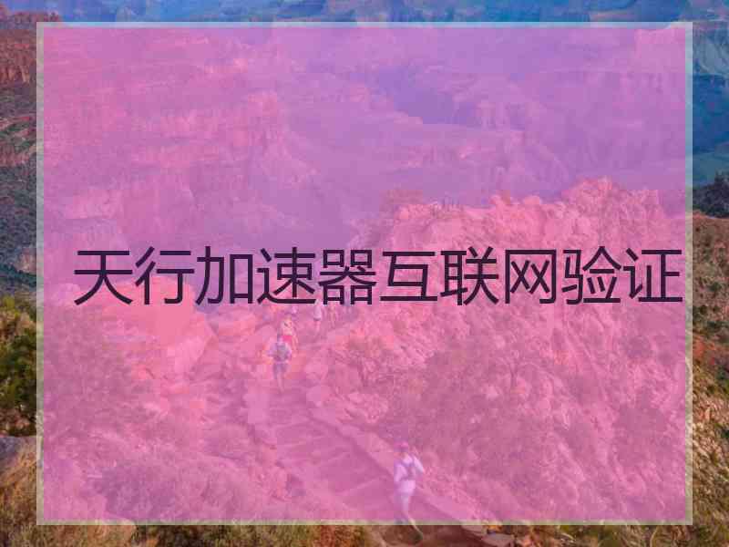 天行加速器互联网验证