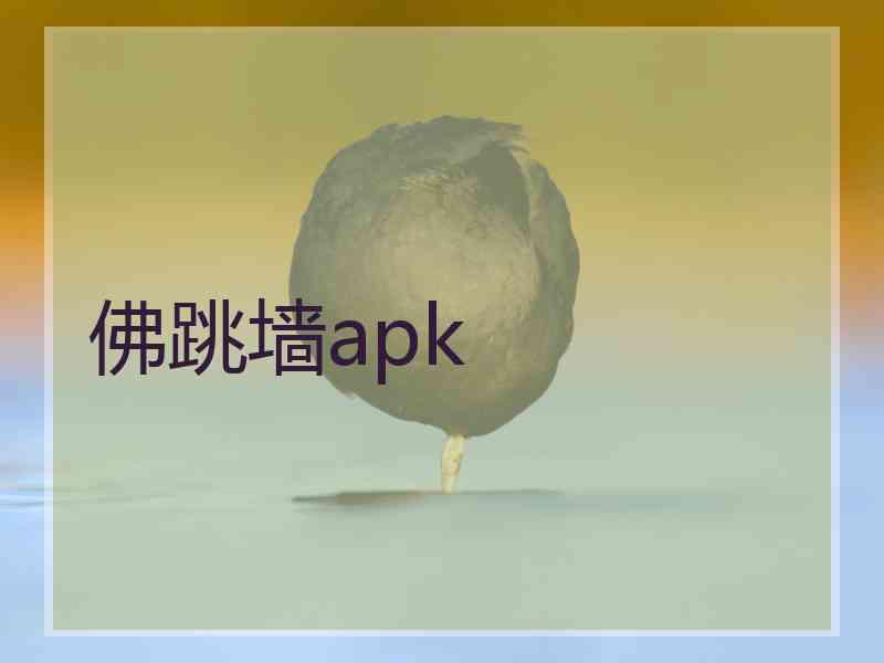 佛跳墙apk