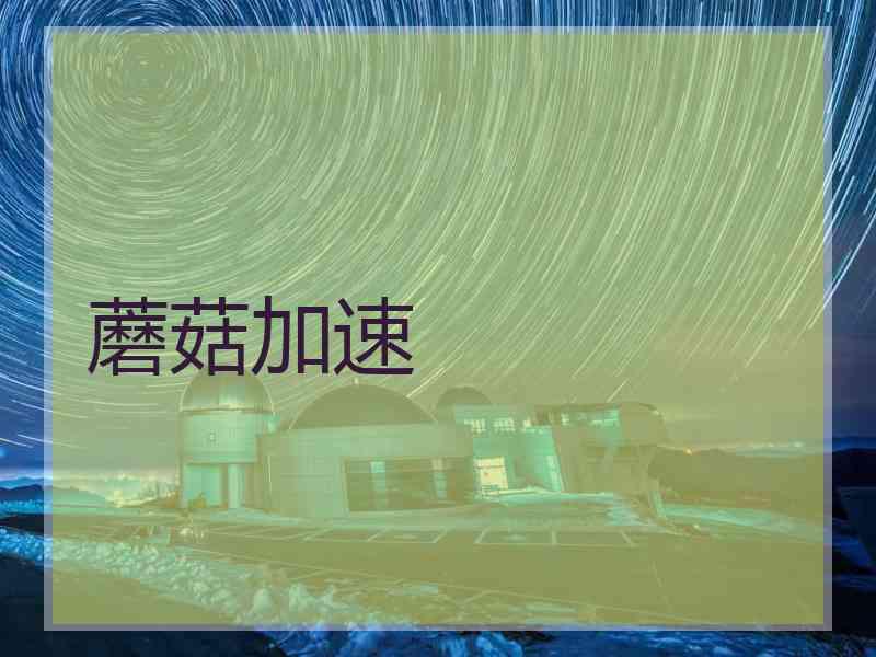 蘑菇加速