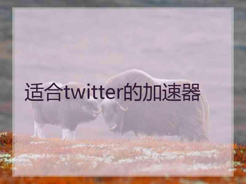 适合twitter的加速器
