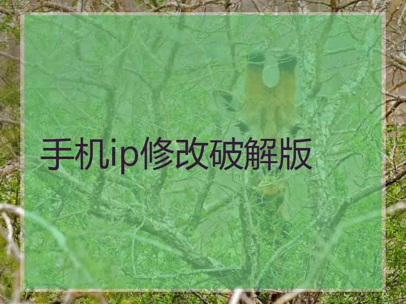 手机ip修改破解版