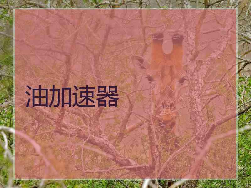 油加速器