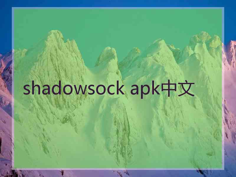 shadowsock apk中文