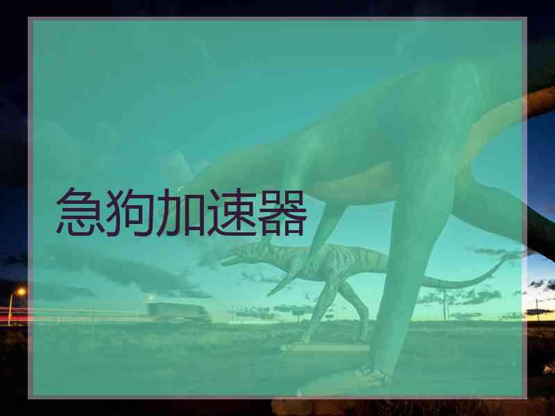 急狗加速器