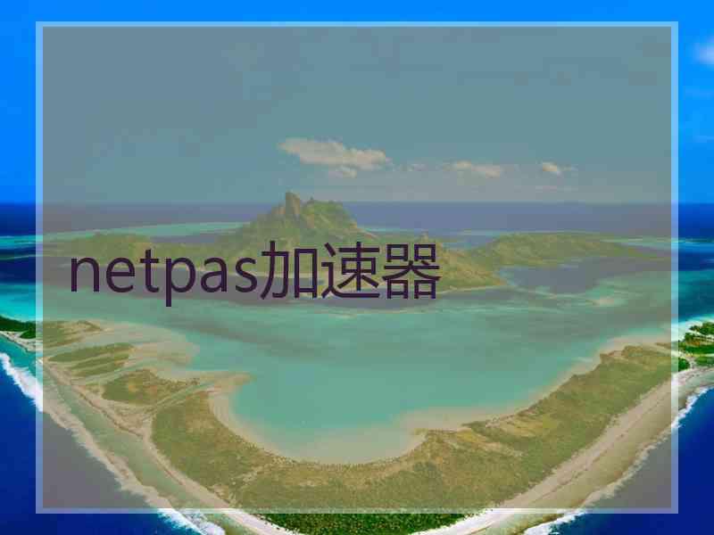 netpas加速器