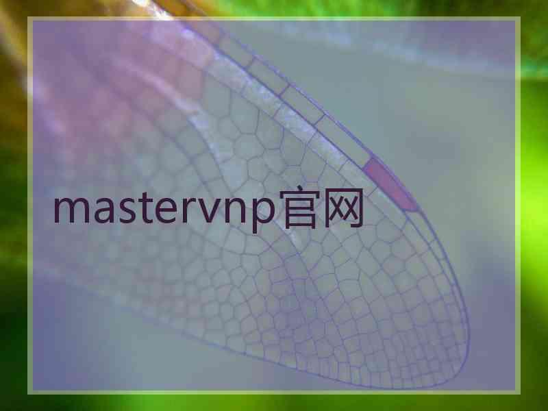 mastervnp官网