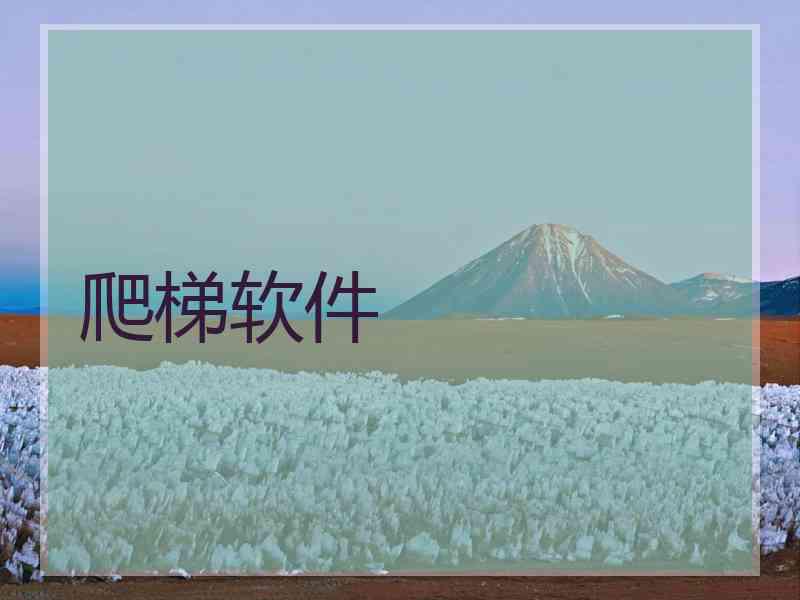 爬梯软件