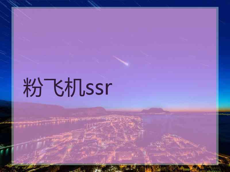 粉飞机ssr
