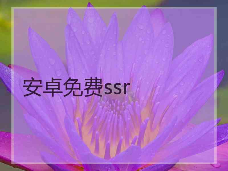 安卓免费ssr