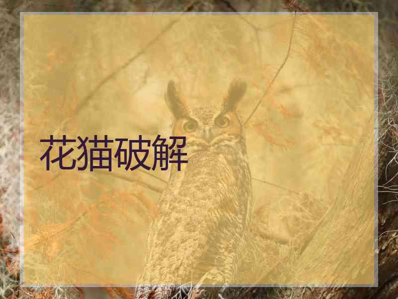 花猫破解
