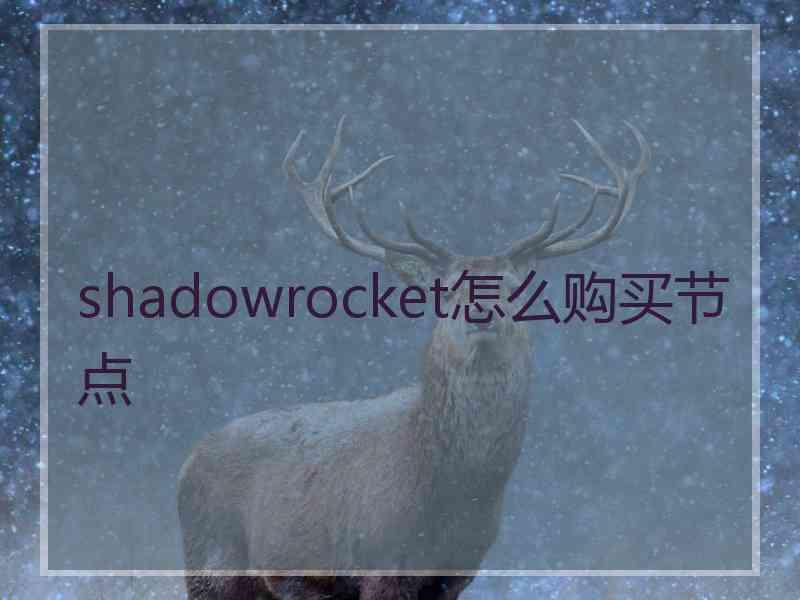 shadowrocket怎么购买节点